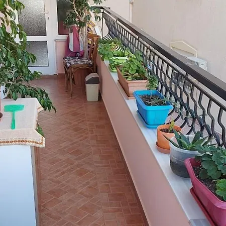Amir Apartament